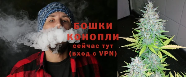 гашик Россошь